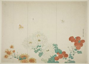 Tre typer krysantemum af Kitao Shigemasa