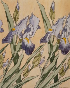 Iris, 1898 af Koloman Moser