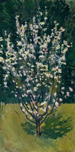 Blomstrende ungt træ af Koloman Moser