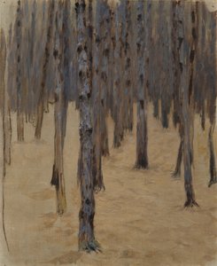 Nåleskov i sneen