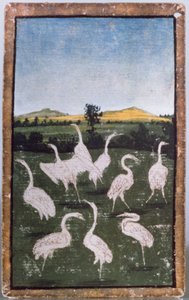 Hejrer på en mark, et af et sæt spillekort med scener af hofjagt, Oberrhein-området, ca. 1440-45 (pen og blæk, wc) (se også 88300-04) af Konrad Witz