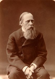 Mikhail Saltykov-Shchedrin, russisk forfatter, 1880