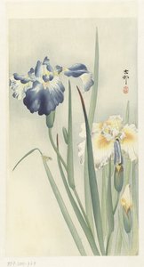 Iriser af Ohara Koson