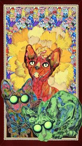 Farverige Sphynx-katte
