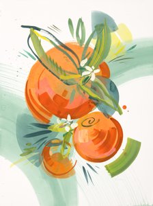 Citrus sæson 3