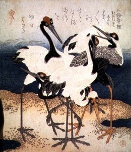 Fem traner med hvide fjer i forskellige positurer på en sanddyn, fra Three Petals-serien, ca. 1816 (blæk) af Kubo Shumman