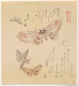 Sommerfugle og møl, fra serien A Flock of Butterflies (Gunch? Gafu) af Kubo Shunman