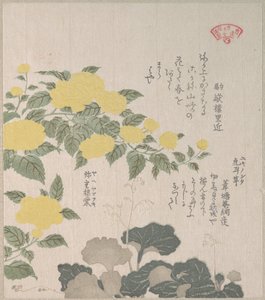  af Kubo Shunman