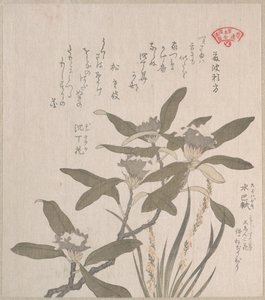  af Kubo Shunman