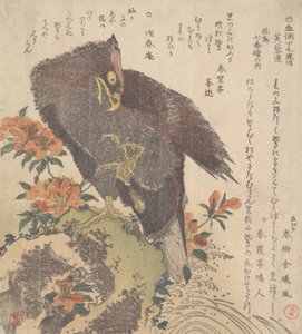 Eagle on a Rock, blomstrende azaleaer, ca. 1800. af Kubo Shunman