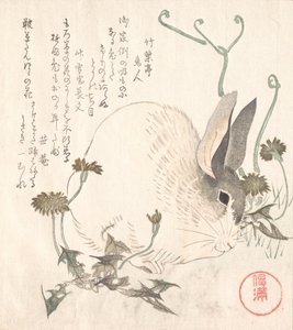 Hare og mælkebøtte, formentlig 1820. af Kubo Shunman