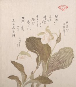 Hotei blomster, 1800-tallet. af Kubo Shunman