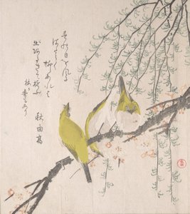 Japanske hvide øjne med blommetræ og pil..., ca. 1810. af Kubo Shunman