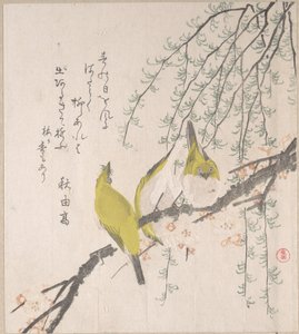  af Kubo Shunman