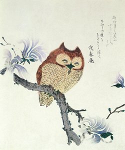 Owl on a Magnolia Branch (blæk og farve på papir) af Kubo Shunman