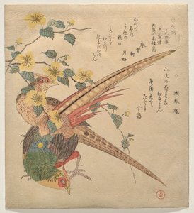 Et par kinesiske fasaner og en gren af yamabuki-blomster af Kubo Shunman