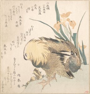 Et par mandarinænder og irisblomster af Kubo Shunman