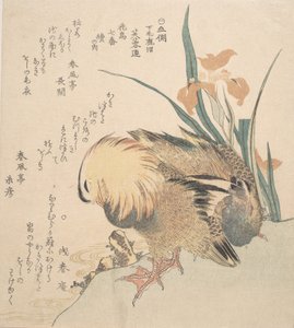 Par mandarinænder og irisblomster, slutningen af det 18.-begyndelsen af det 19. århundrede. af Kubo Shunman