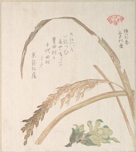  af Kubo Shunman