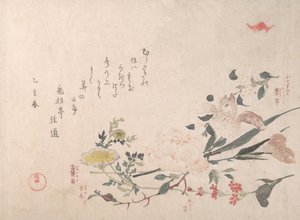 Rose, Iris, Primrose og Daisy, 1815. af Kubo Shunman