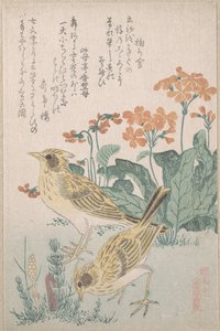  af Kubo Shunman