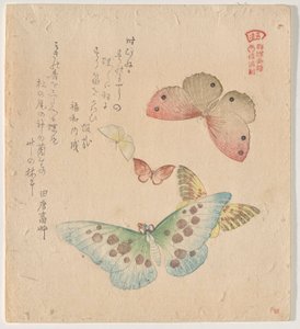 The Painting Manual of Flock of Butterflies (Guncho? Gafu) af Kubo Shunman