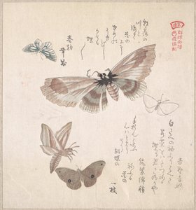 af Kubo Shunman