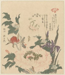Pæoner og iris Kakitsubata botan (titel på objekt) Et udvalg af planter til Kasumi Poetry Society (serietitel) Kasumiren sômoku awase (serietitel på objekt)