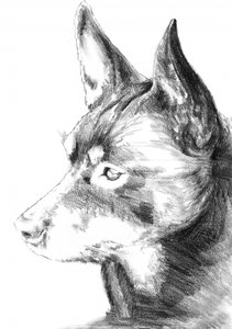  af Kulik