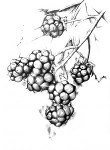  af Kulik