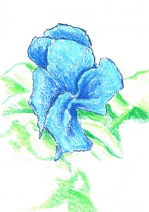  af Kulik