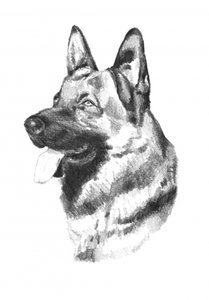  af Kulik