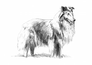  af Kulik