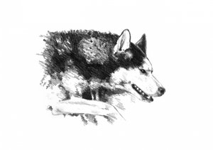  af Kulik