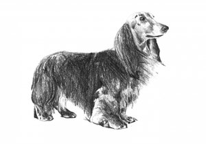  af Kulik