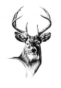  af Kulik