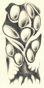  af Kulik