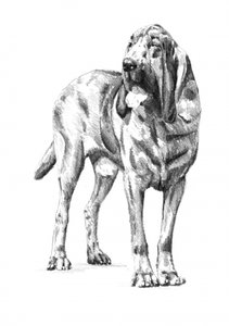  af Kulik