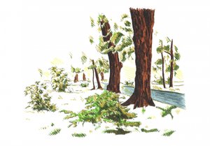  af Kulik