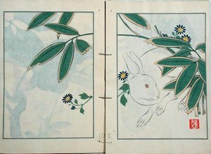 Kaninen, fra en samling af kunstnerens værk udgivet af Kobyashi Bunscichi i 1901 (træblok i farver) af Kurokawa Yasusada Kigyoku