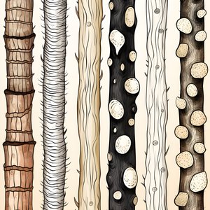 Puun runkoosat, boho clipart, boho-piirustuskuviot, boho-runko 1