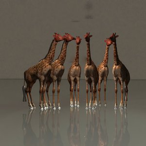 Giraffer i harmoni af Kurt Heppke