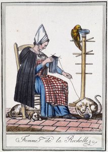 Kvinde fra La Rochelle, der strikker med en hund, en papegøje og en kat, der leger med uldkuglen.