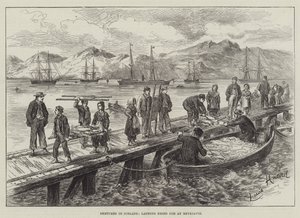 Skitser på Island, landing af tørret torsk i Reykjavik