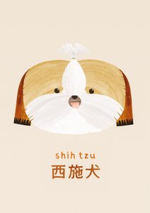 Shih tzu, 2019 af Léa Le Pivert