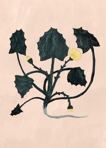 Ukendt plante, 2018