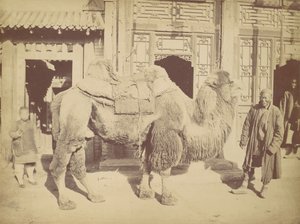 Beijing. af. 923, 1867. af Lai Fong.