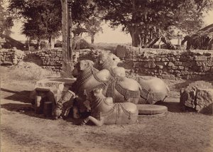 Tyre eller nadier med ornamentale udskæringer Set fra siden, Warangal, Hyderabad, Deccan