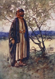 Folk i Egypten: Arabisk beduin, bedawi (farvelitografi) af Lance Thackeray