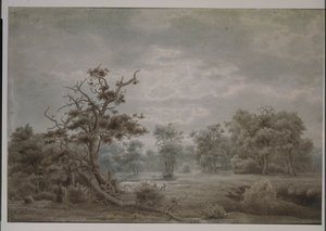 Skovlandskab fra Düsseldorf